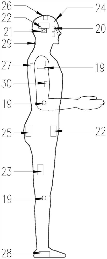 A Multifunctional Robot and Its Workflow