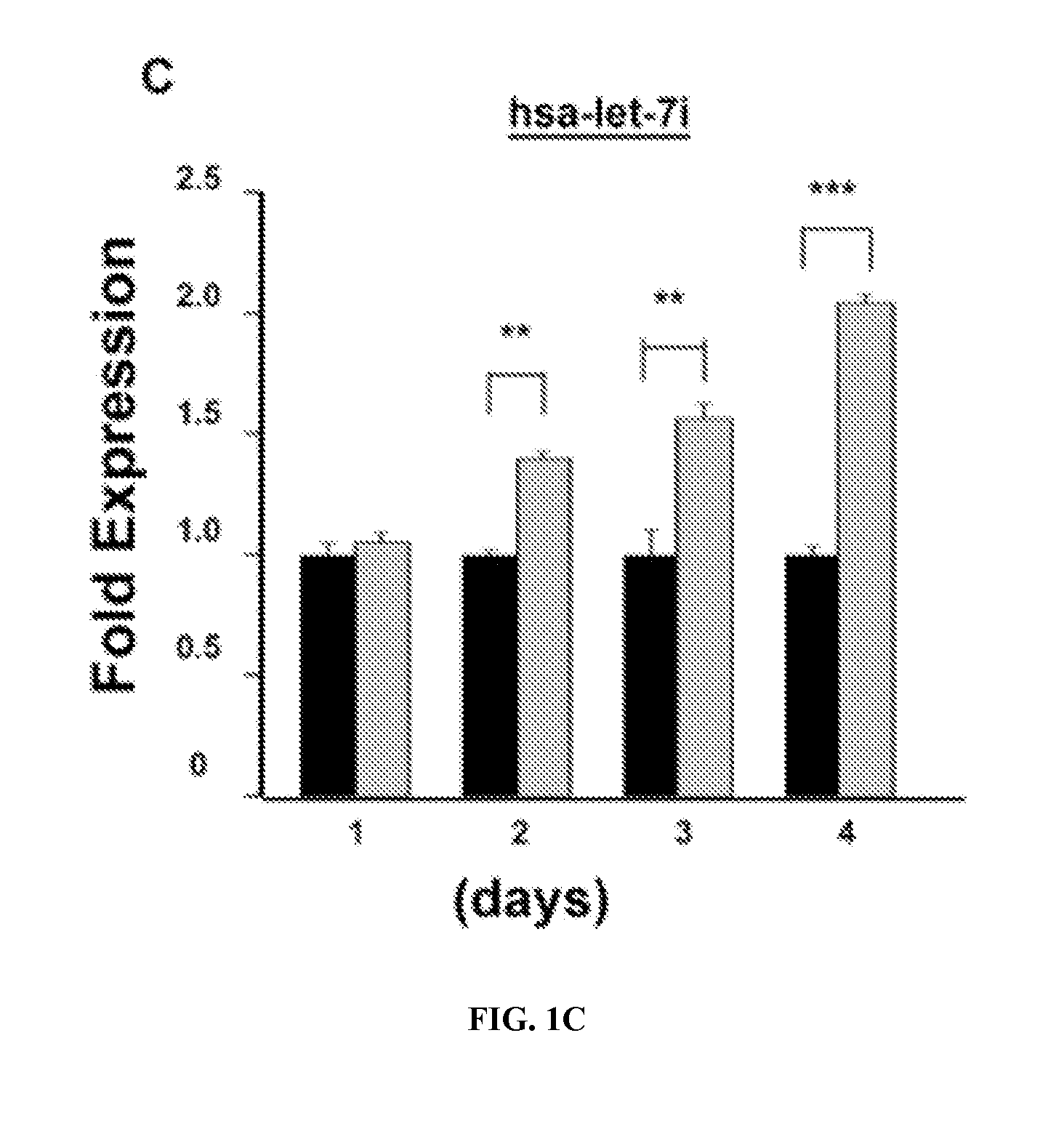 Predictive markers for polyamine inhibitor cancer therapies