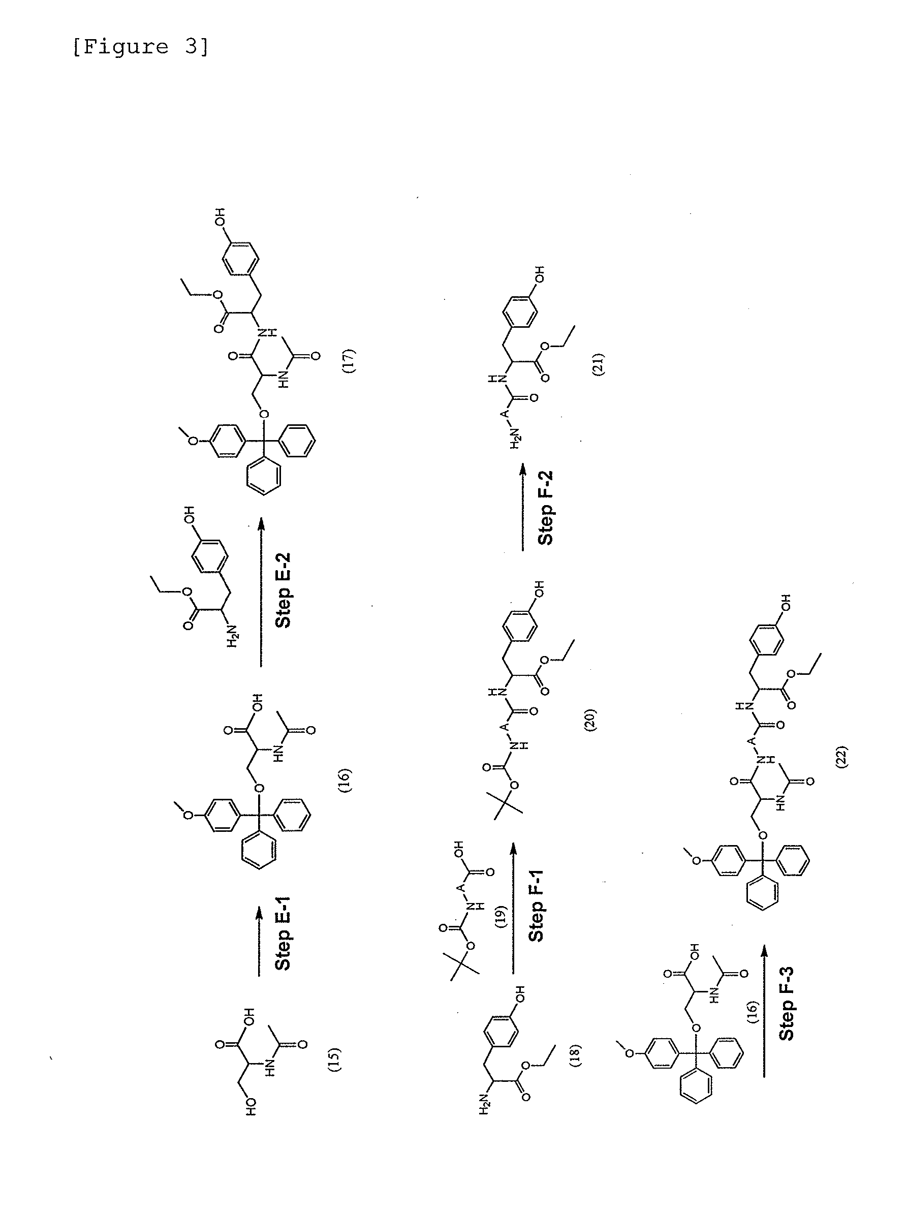 Modified Single-Stranded Polynucleotide