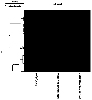 Application of ganodermanondiol using endonuclear cathepsin L as target spot in pharmacy