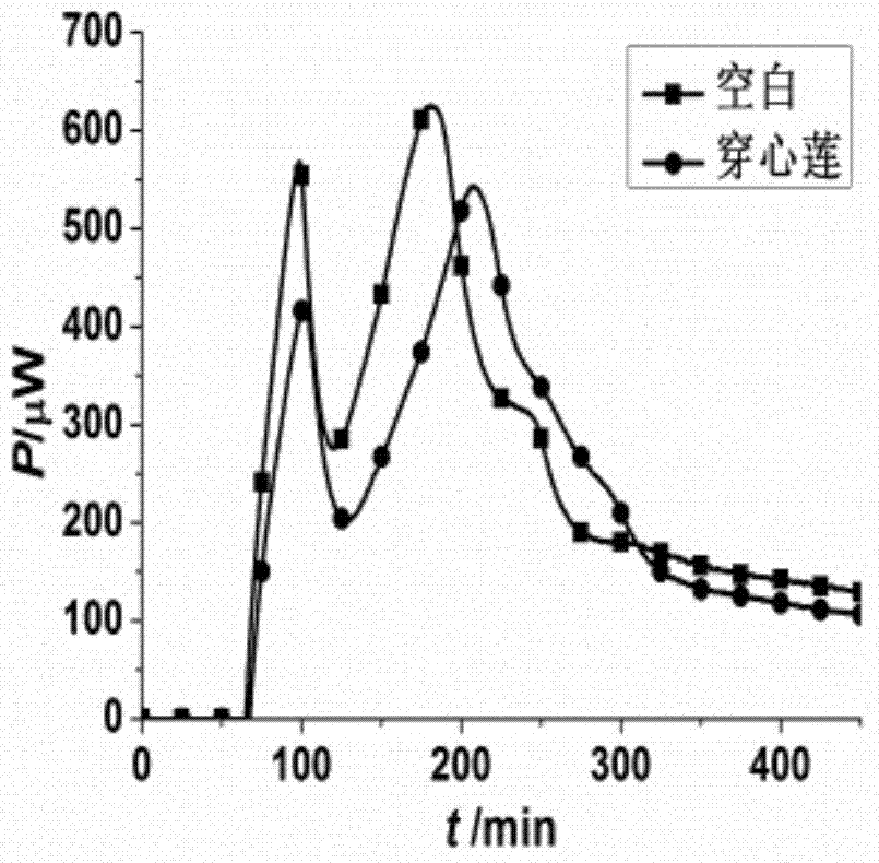 Method for evaluating antimicrobial activity of andrographis paniculata