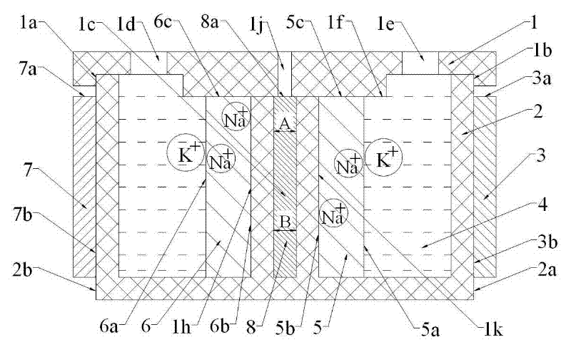 Ion exchange glass generation device