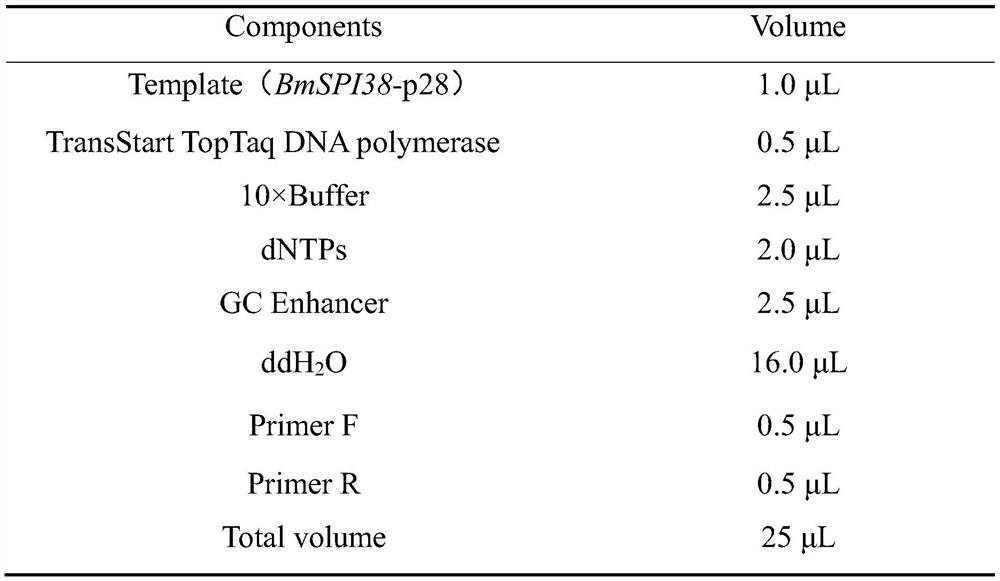 Homotype tandem polymer of BmSPI38 as well as construction method and application of homotype tandem polymer