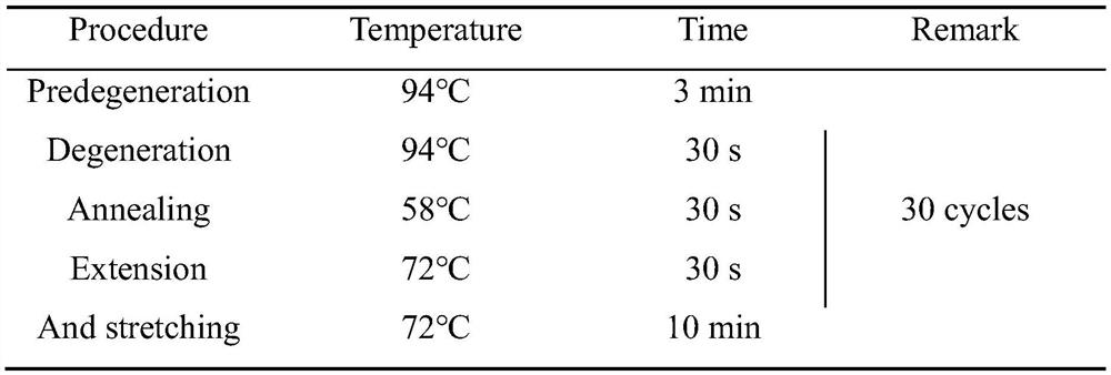 Homotype tandem polymer of BmSPI38 as well as construction method and application of homotype tandem polymer