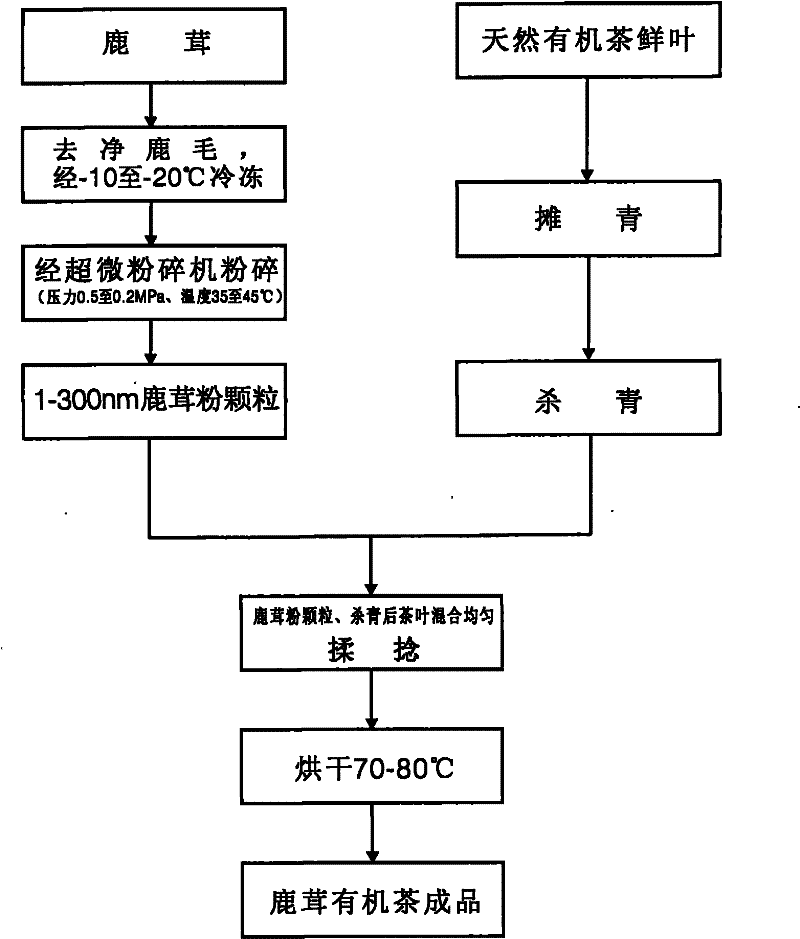 Manufacturing process for antler organic tea and preparation thereof