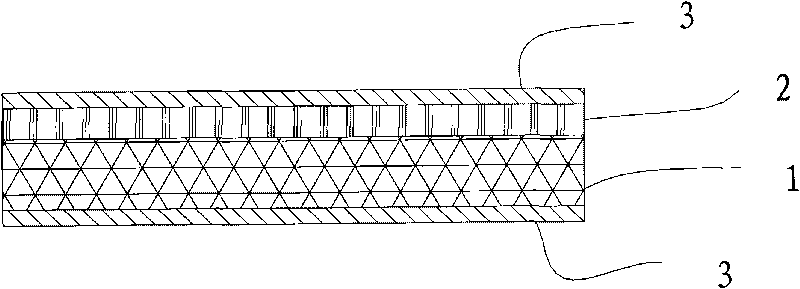 Microorganism immobilized carrier and preparation method thereof