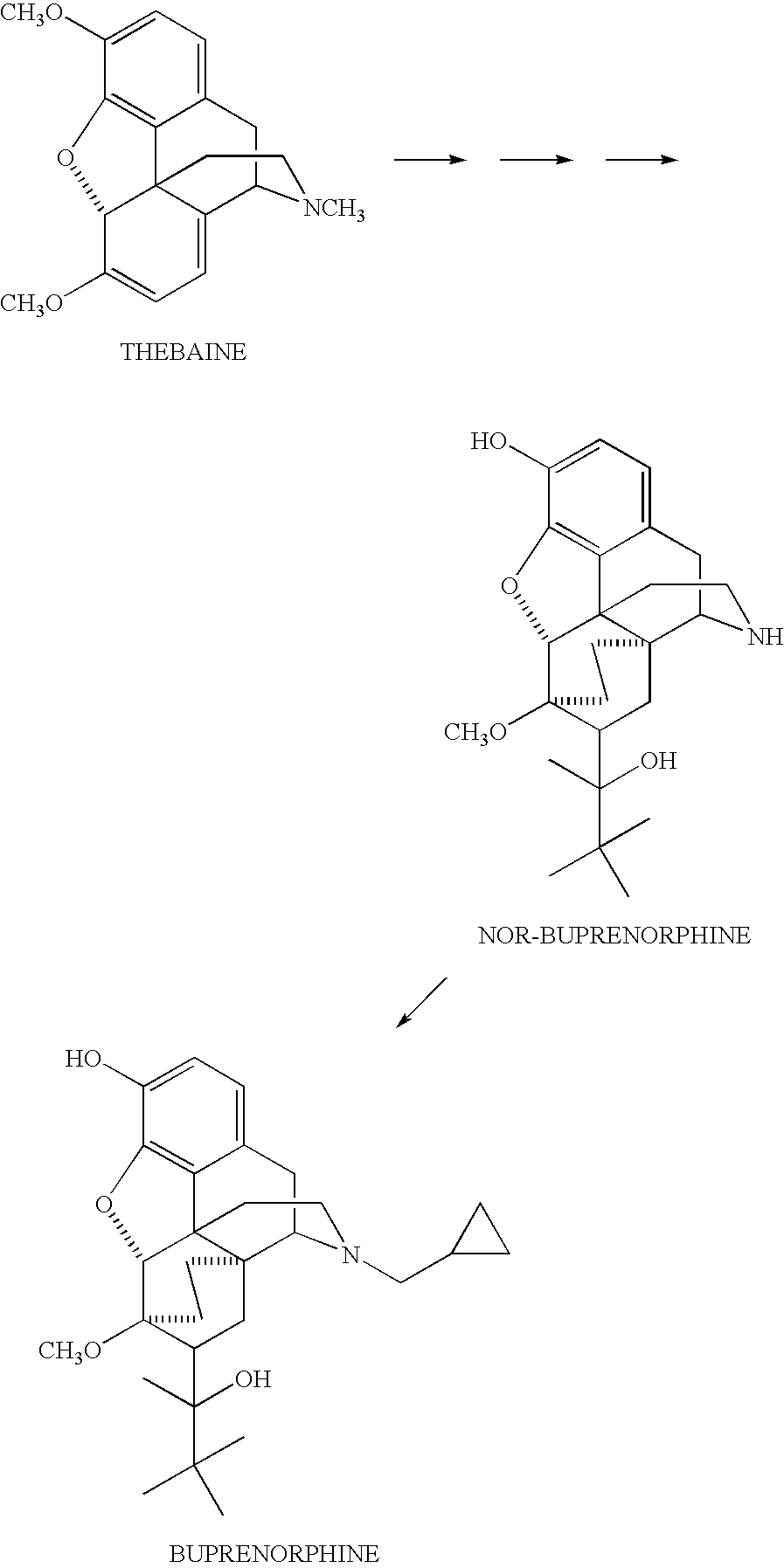 Use of oripavine as a starting material for buprenorphine