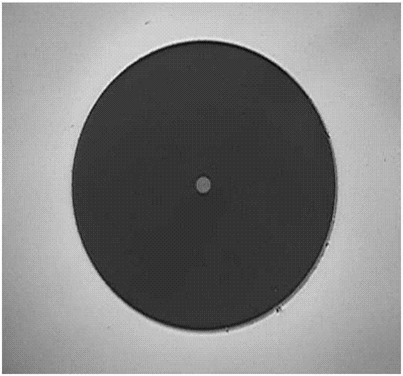 A kind of processing method of fc type chalcogenide glass optical fiber connector