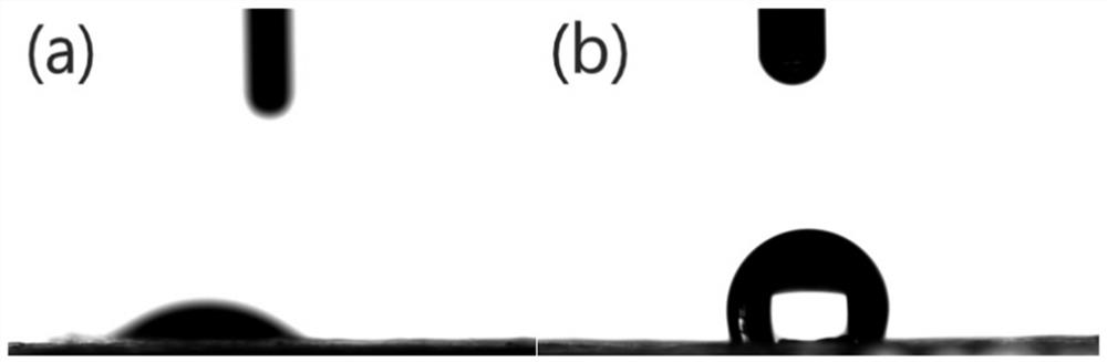 A kind of preparation method and application of degradable plastic film coating