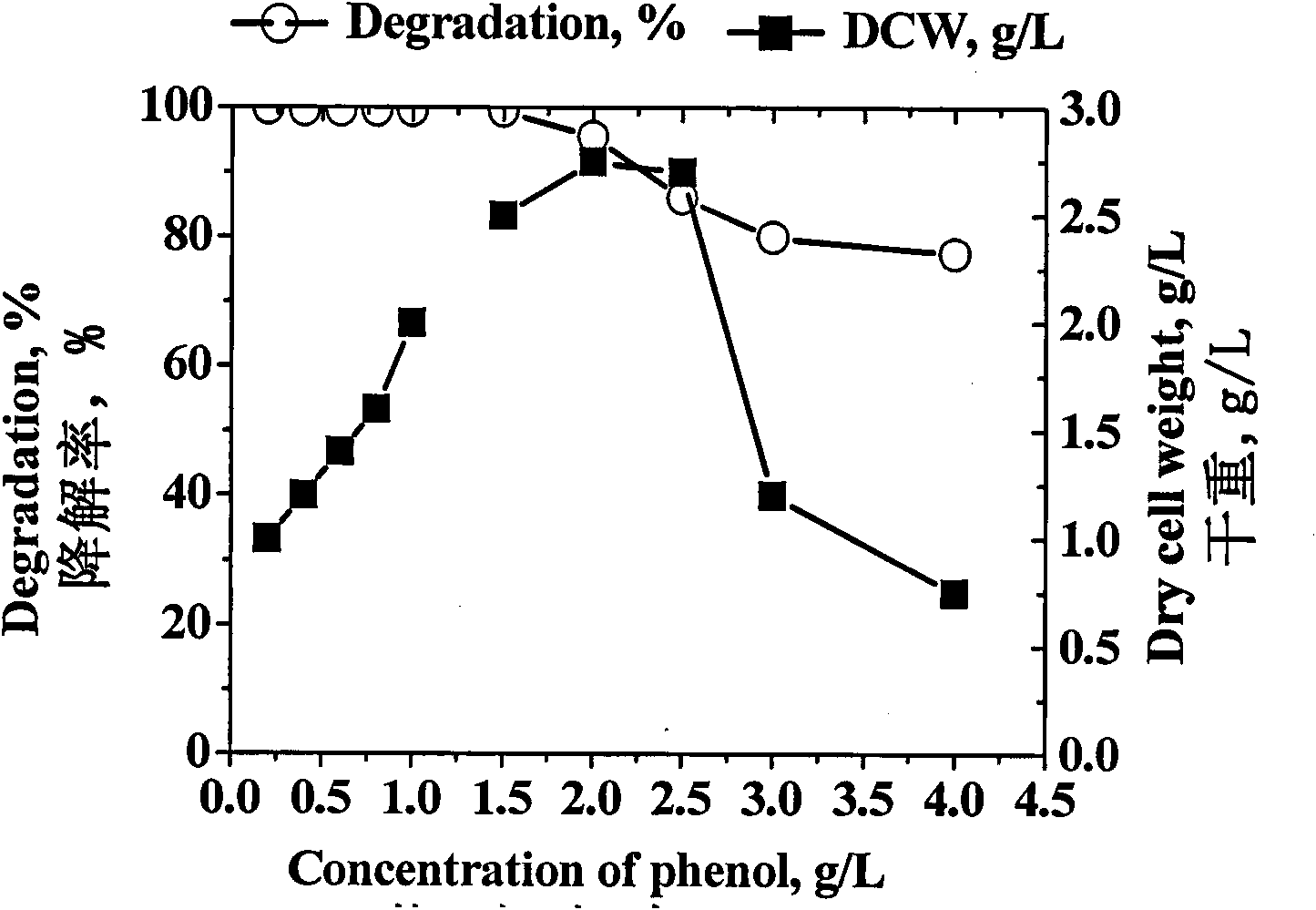 Trichosporon montevideense and application thereof in degradation of phenol