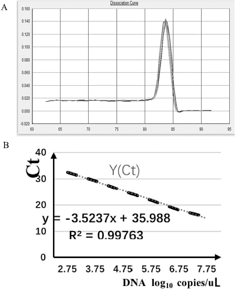 Primer pair, probe, kit and method for fluorescence quantitative PCR detection of FadV-4 type fowl adenoviruses