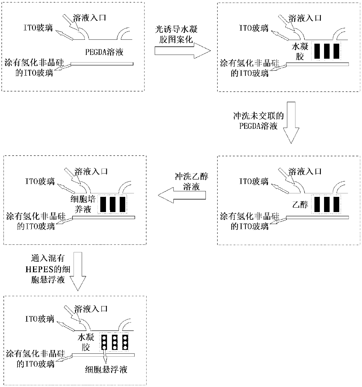 Real-time monitoring system and method of physical characteristics of unicellular organisms