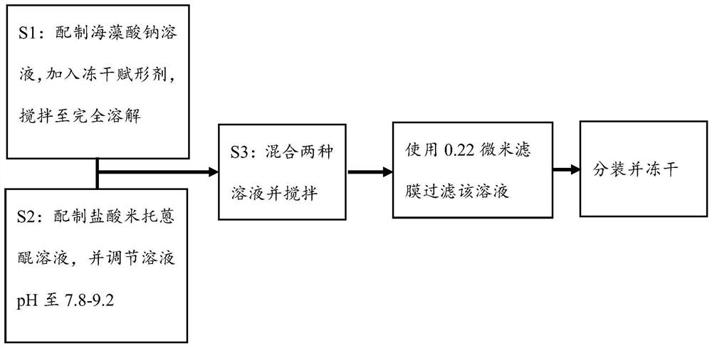 Mitoxantrone composition and preparation method thereof