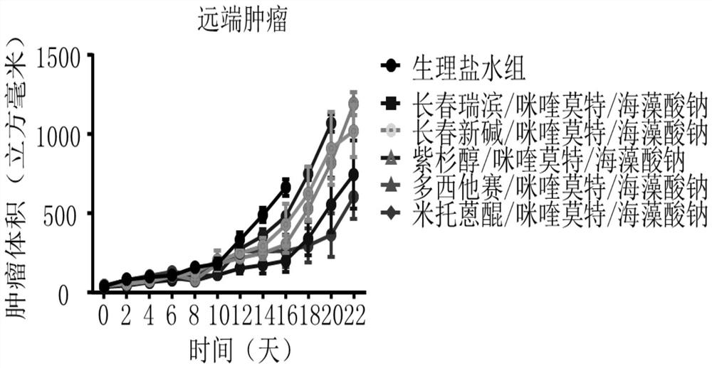 Mitoxantrone composition and preparation method thereof