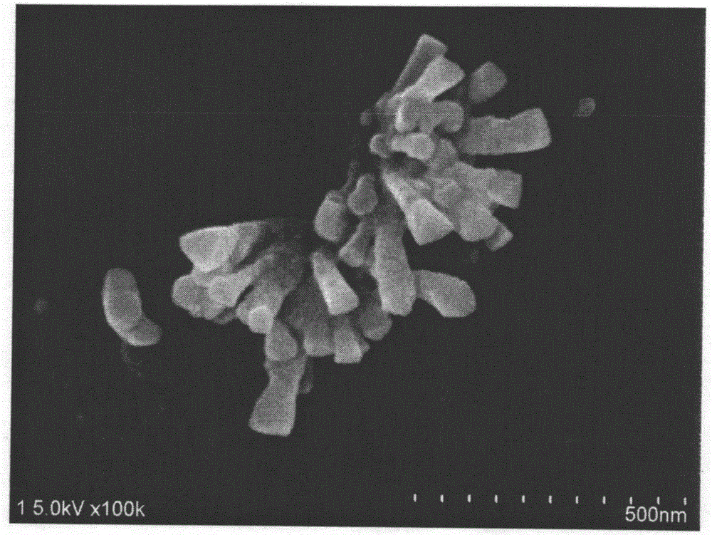 Catalyst for electrochemical reduction of carbon dioxide and preparation and application of catalyst