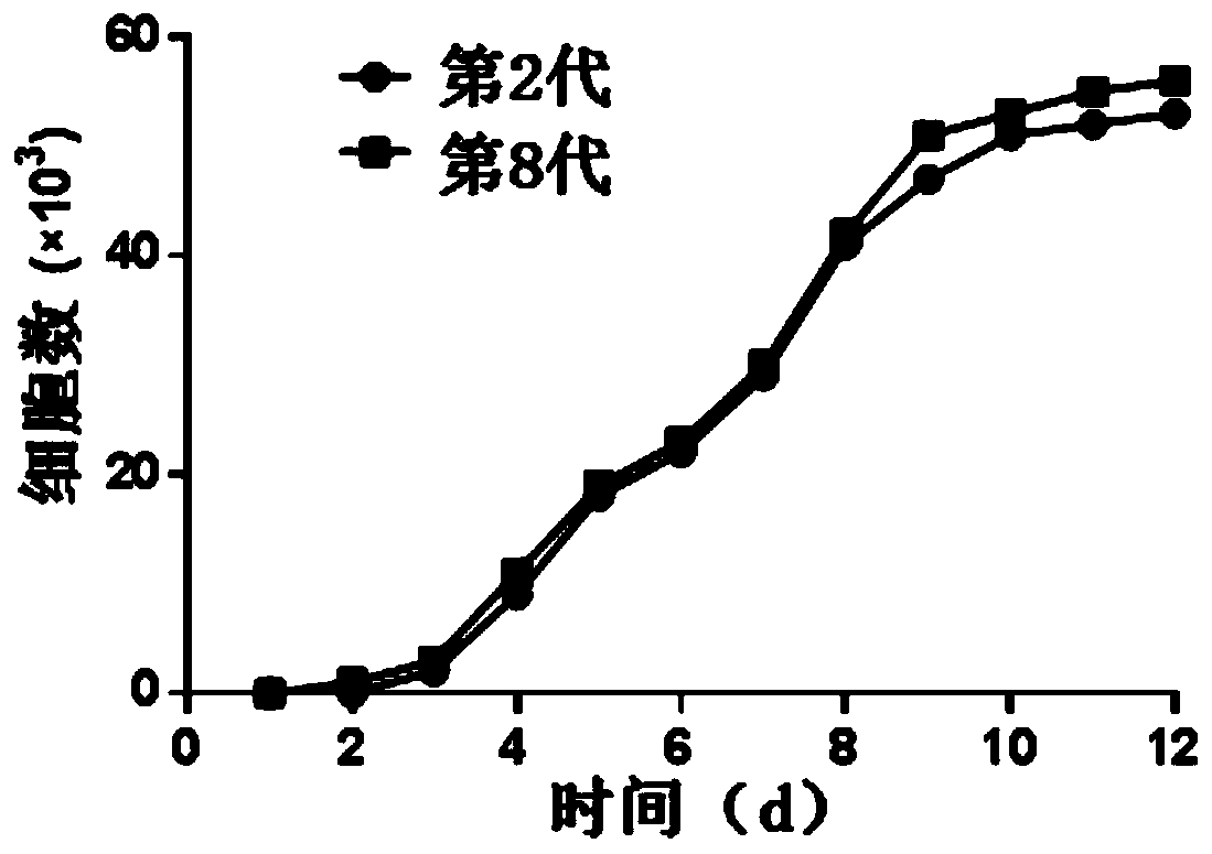 Culture method of human umbilical cord blood mesenchymal stem cells