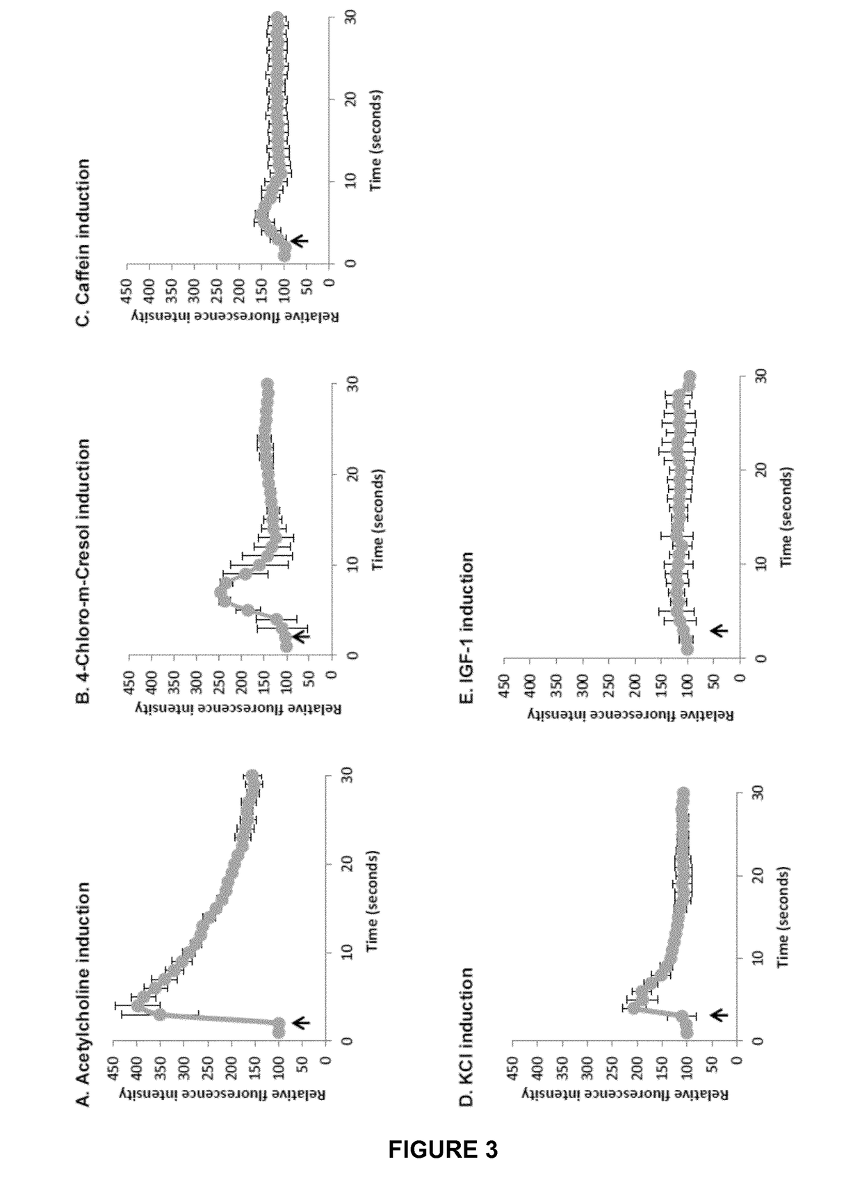 High throughput and functional screening method for muscle related disorders and biological processes