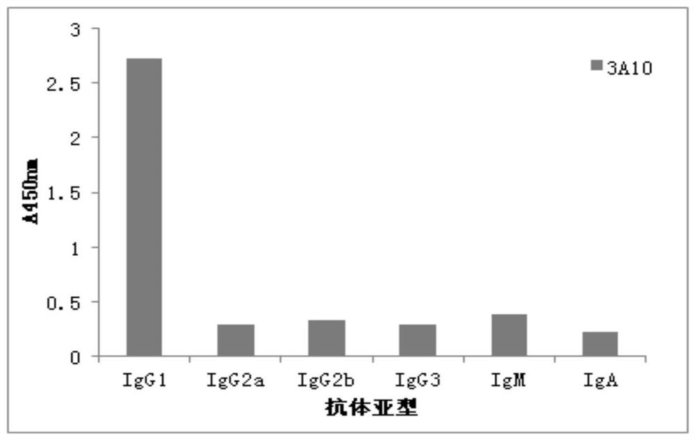 Anti-vancomycin monoclonal antibody and application thereof