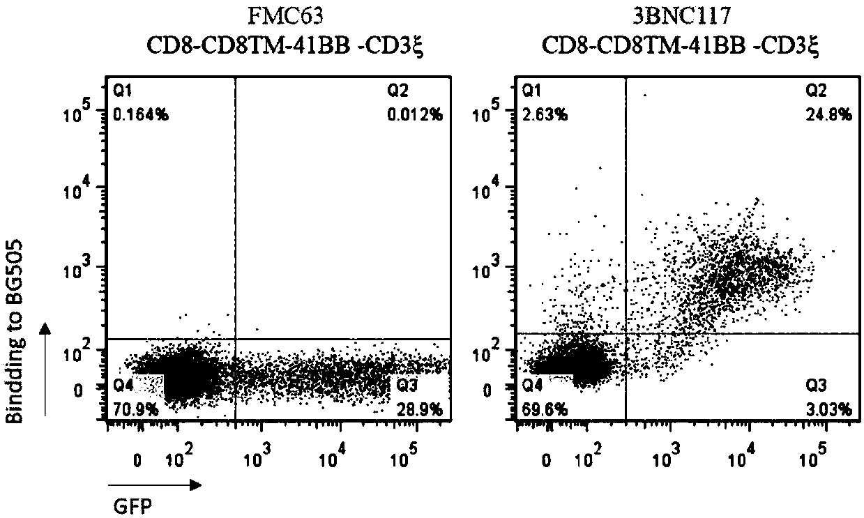 Use of T cell comprising chimeric antigen receptor (CAR) modification for preparing cell drug