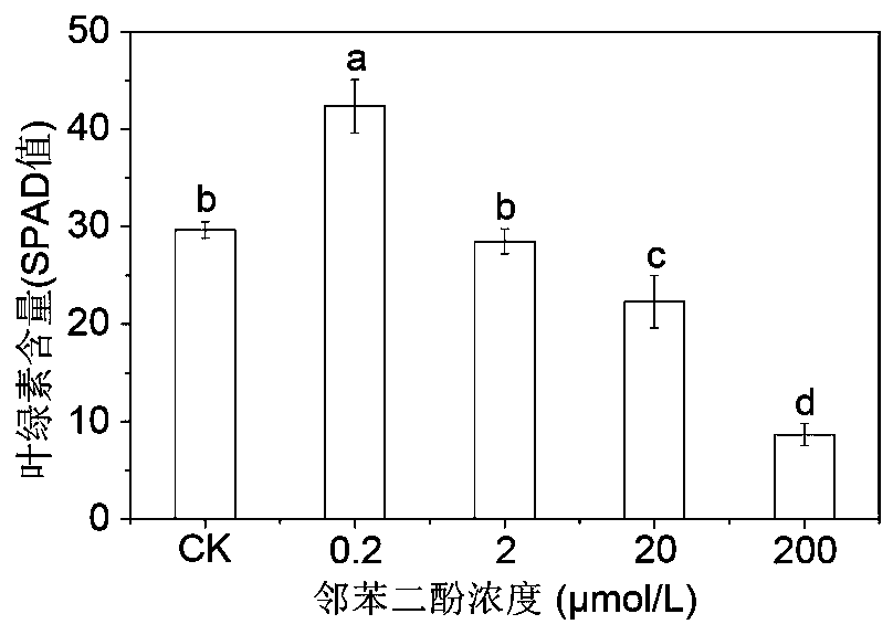 Method for regulating chlorophyll content in rice leaves
