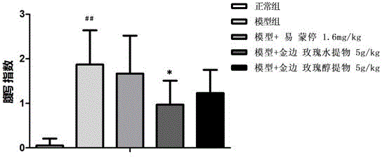 Application of gold-edge rose extract to preparation of drug for preventing chemotherapy side effects, protecting intestinal mucosal barrier and/or improving body immunity