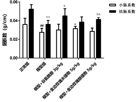 Application of gold-edge rose extract to preparation of drug for preventing chemotherapy side effects, protecting intestinal mucosal barrier and/or improving body immunity