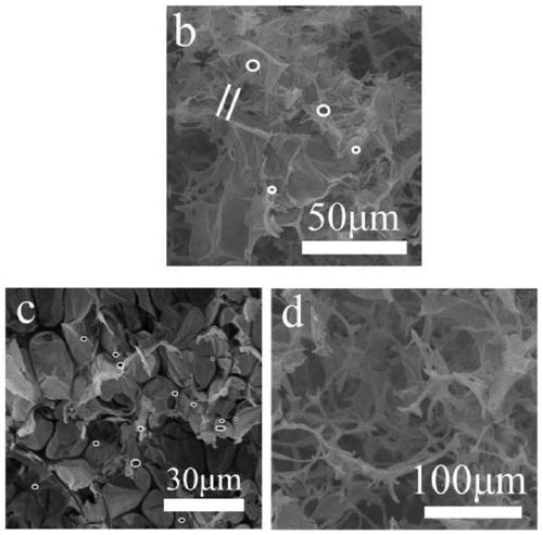 Flexible electrode material with adjustable pore size and preparation method and application thereof