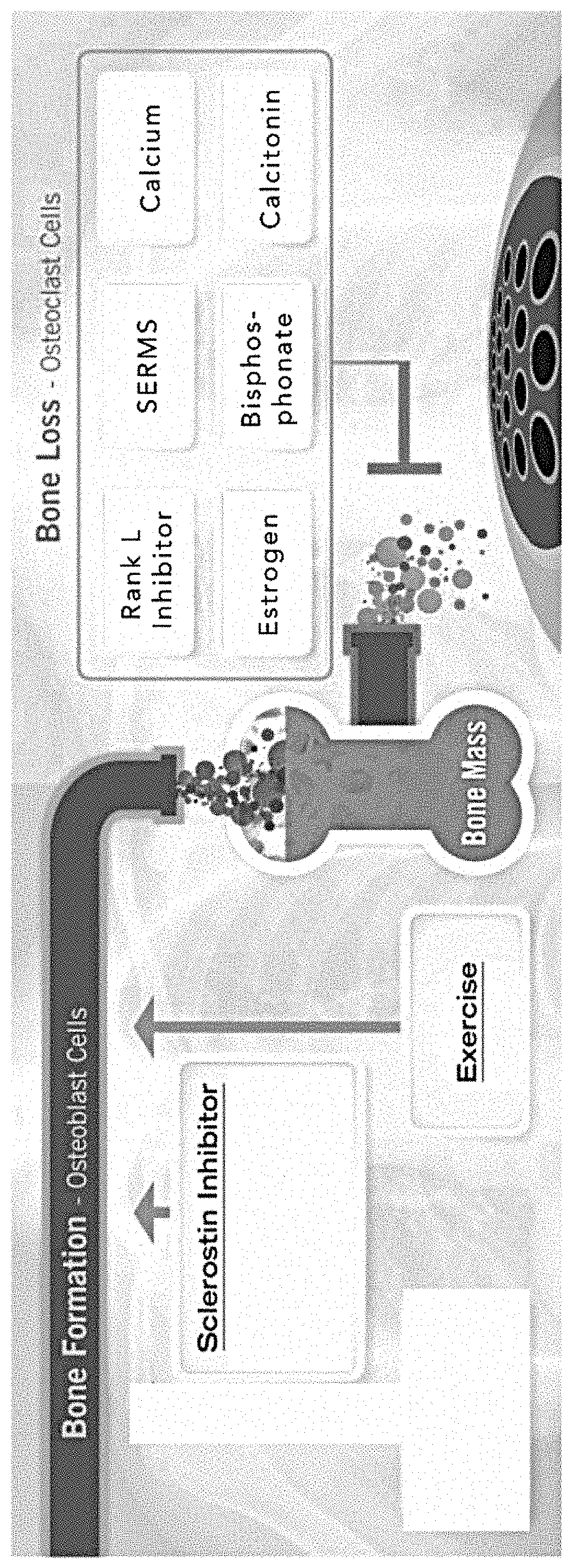 Pyrrolo-dipyridine compounds