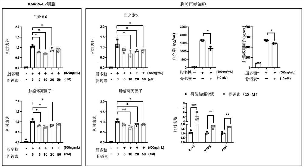 Application of osteocalcin in preparation of anti-inflammatory drugs