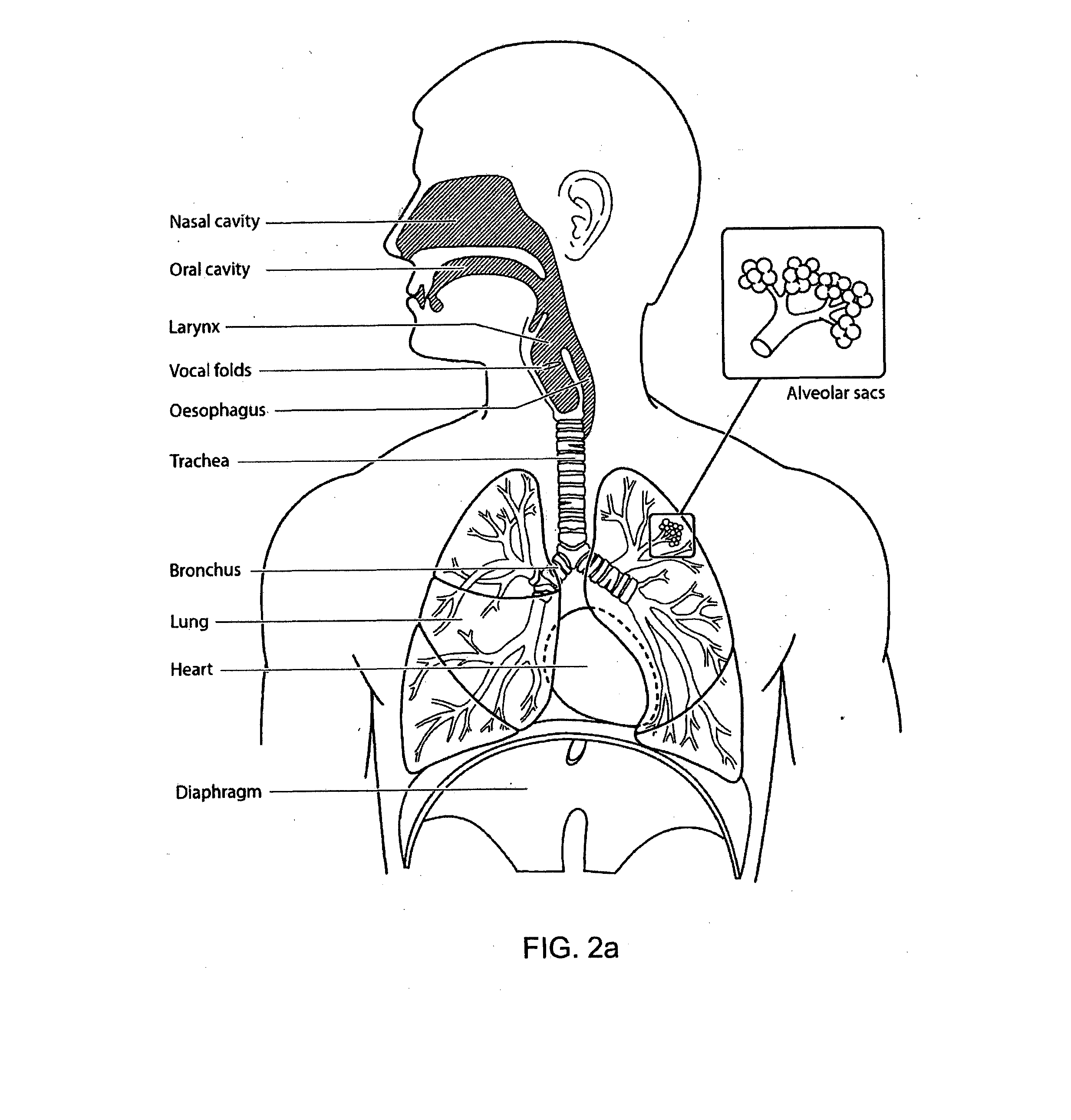 Method and apparatus for oral flow therapy