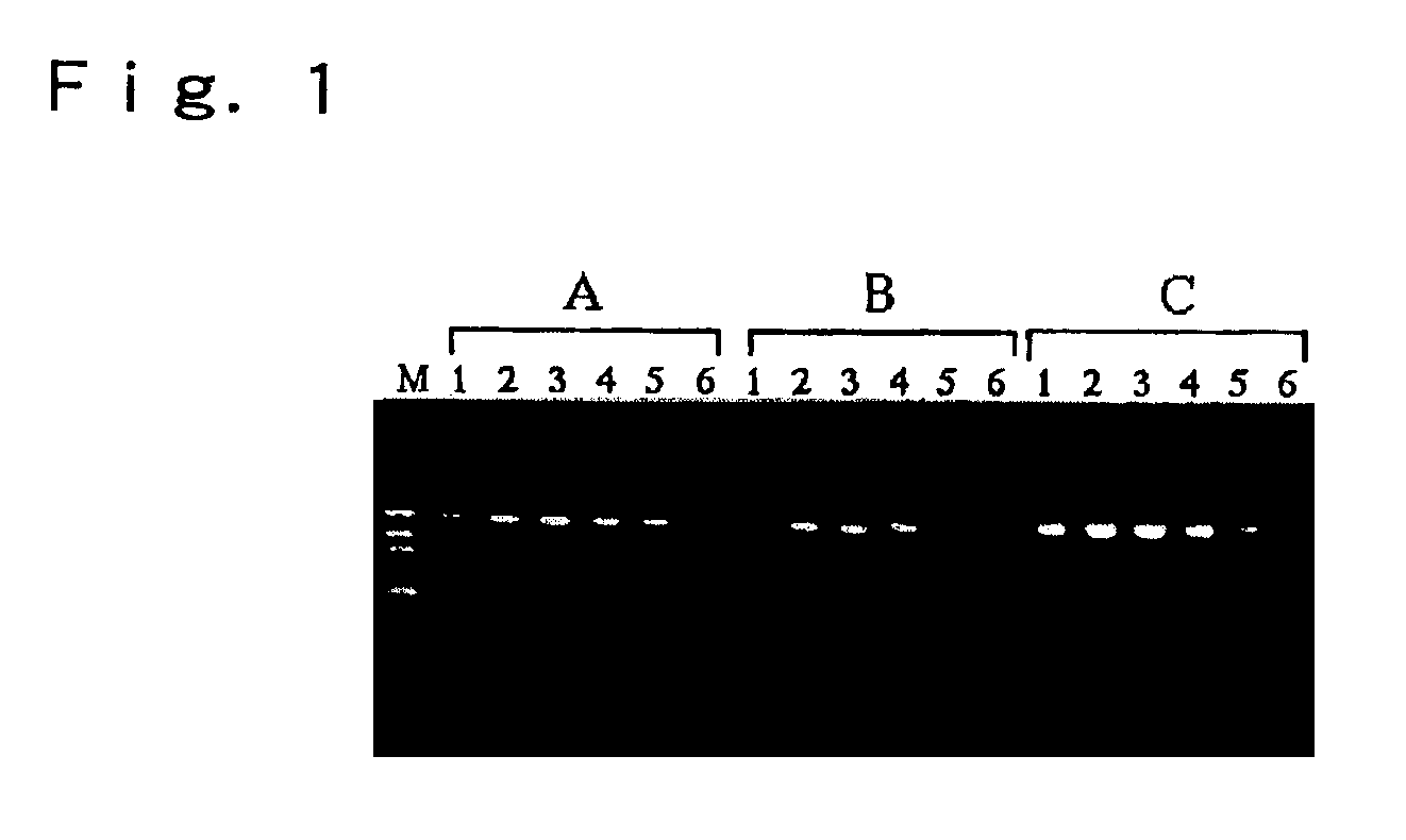 Method for synthesis of nucleic acids
