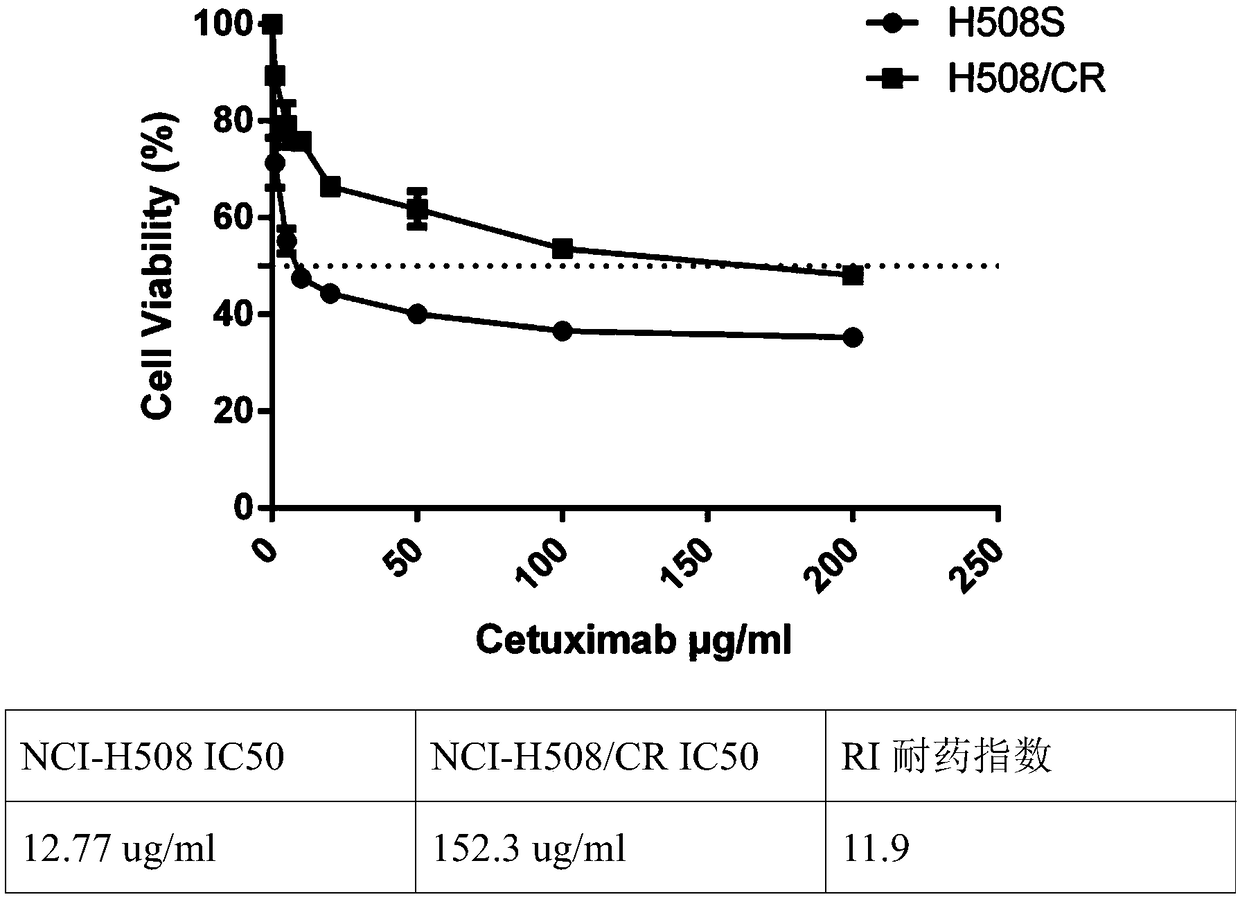 Human colorectal cancer cetuximab drug-resistant cell line and application thereof