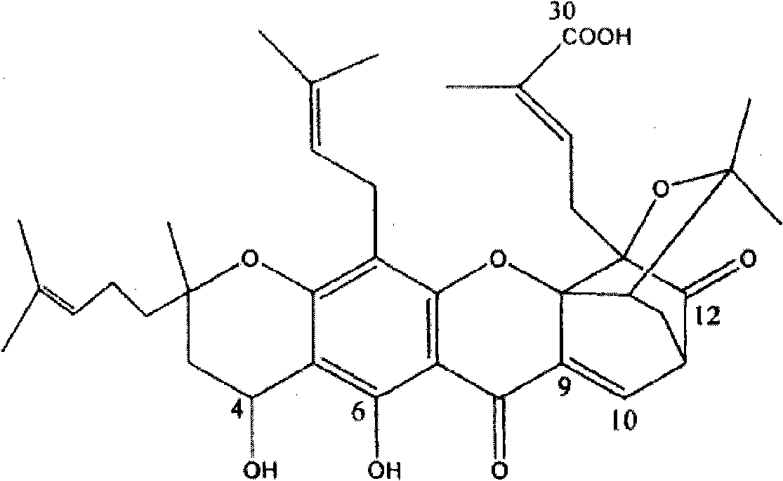Neo-gambogic acid SLN (solid lipid nanoparticle) and preparation method thereof