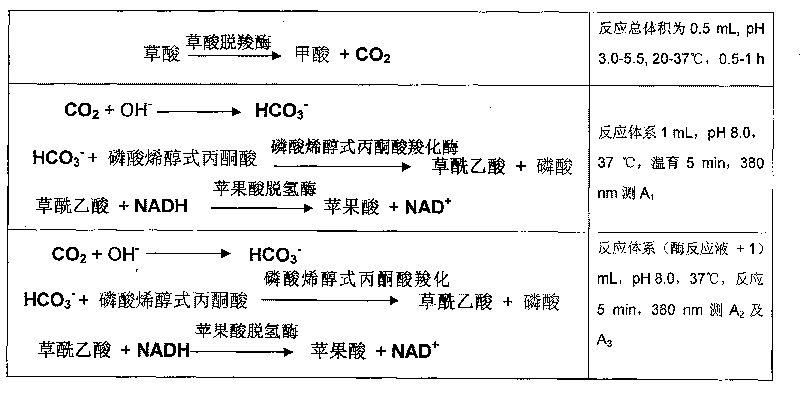 Method for determining concentration of oxalic acid by determining concentration of carbon dioxide through enzymatic method