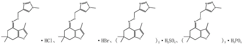 Tetrahydrobenzofuran-4-ketoximetriazole medicine, and preparation method and application thereof