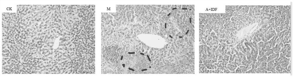 Anthocyanin dietary fiber beverage for regulating intestinal flora and reducing blood lipids and preparation method thereof