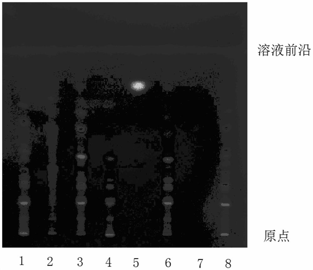 Rapid thin-layer identification method for lyophilized powder of Linggui Zhugan decoction
