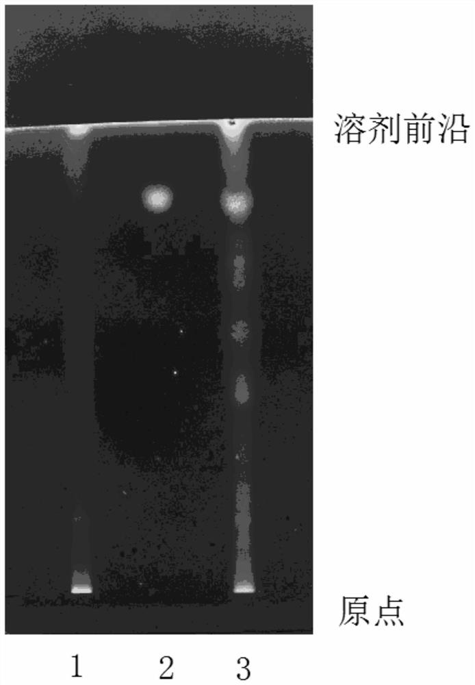 Rapid thin-layer identification method for lyophilized powder of Linggui Zhugan decoction