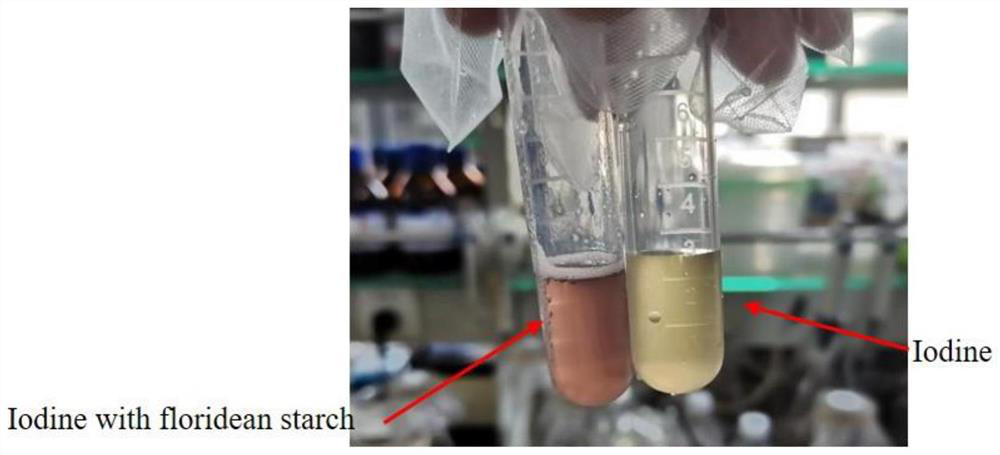 Application of red algae starch