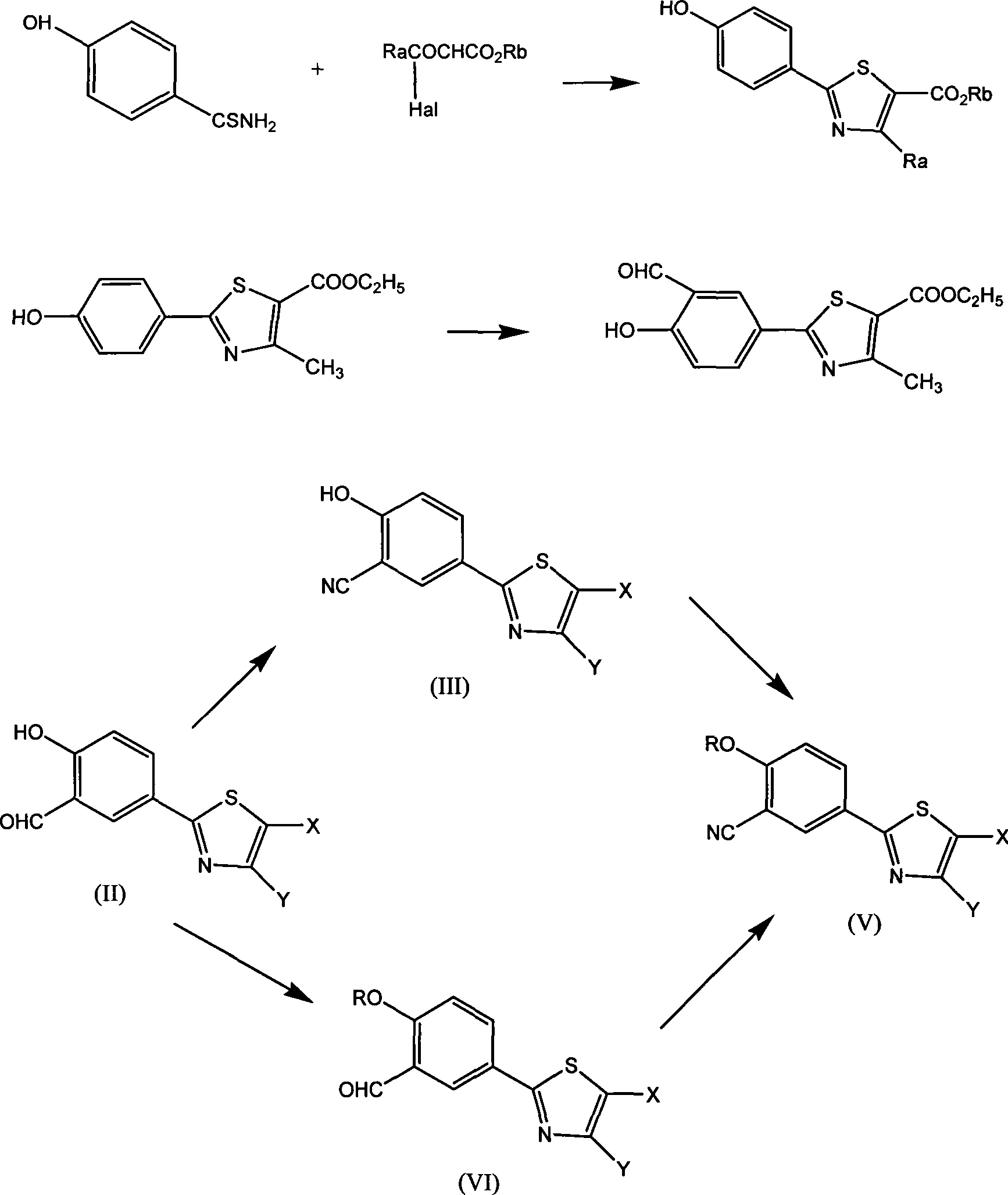 Aromatic nitrile-base thiazole derivatives for inhibiting xanthine oxidase activity, preparation method and application