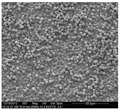 Preparation method and application of kaempferol imprinted microsphere based on nanometer titanium dioxide