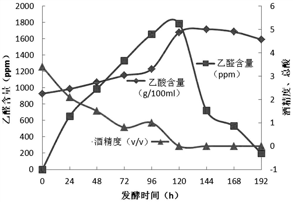 A method for efficiently transforming and enriching Ligustrazine in vinegar and a method for preparing Ligustrazine-rich vinegar