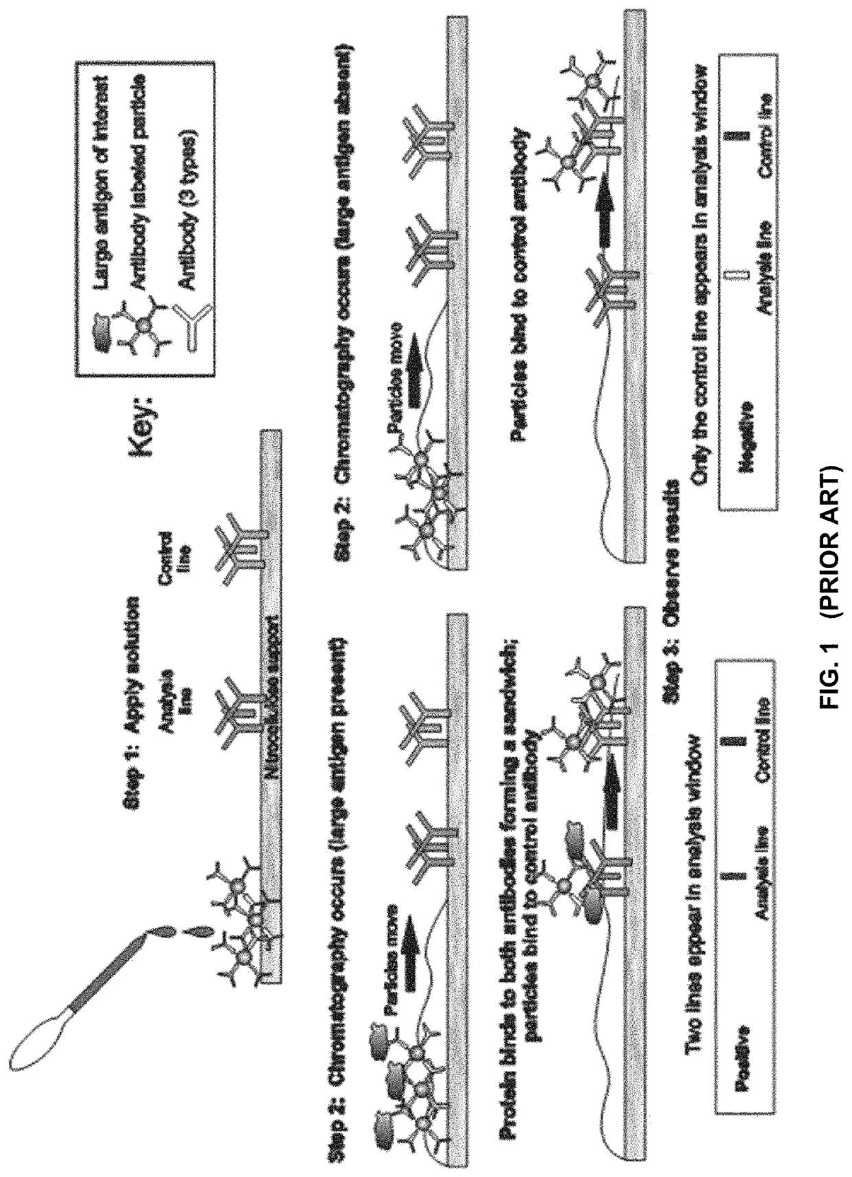 Catalytic signal enhancement for lateral flow immunoassays