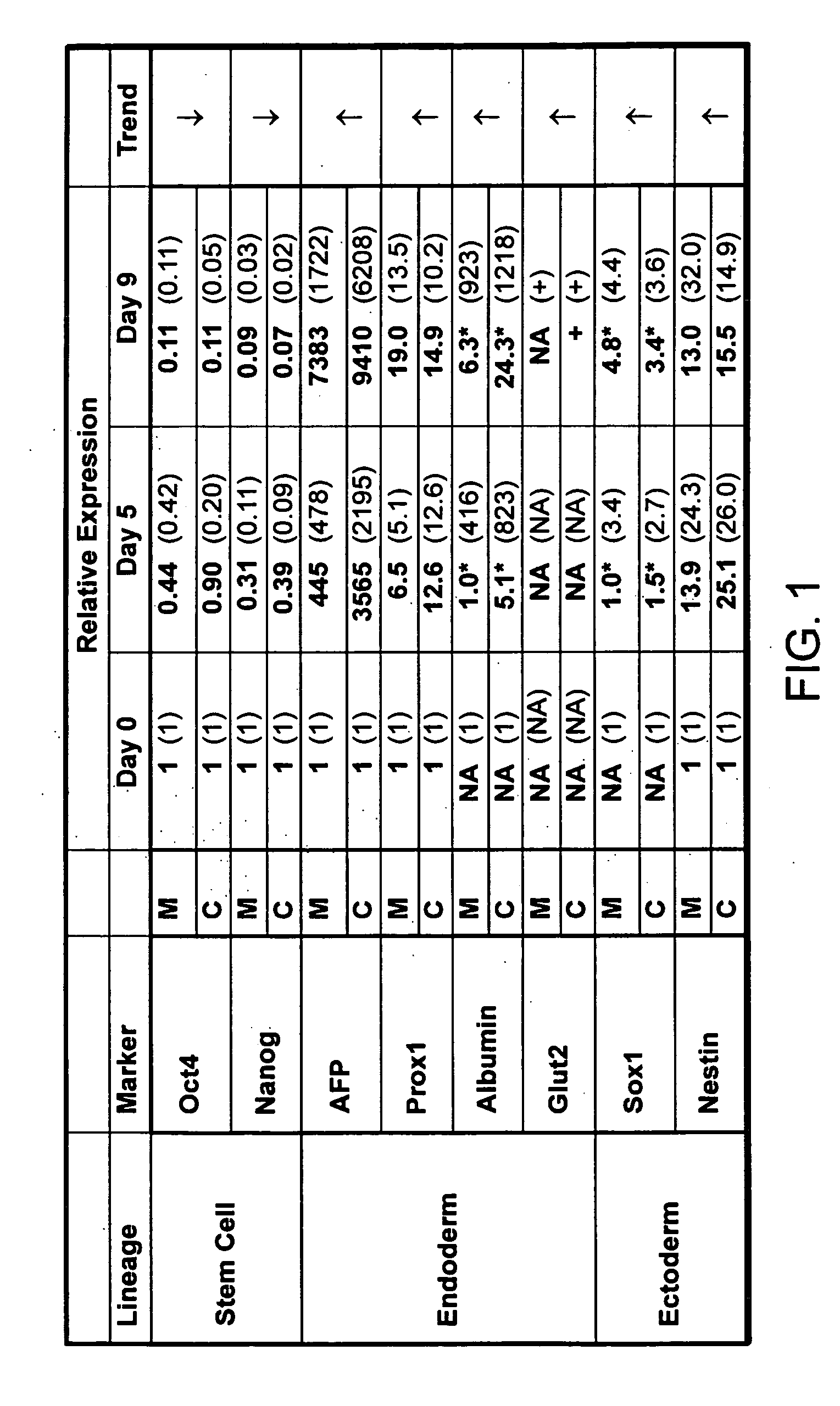 Directed differentiation of embryonic stem cells and uses thereof