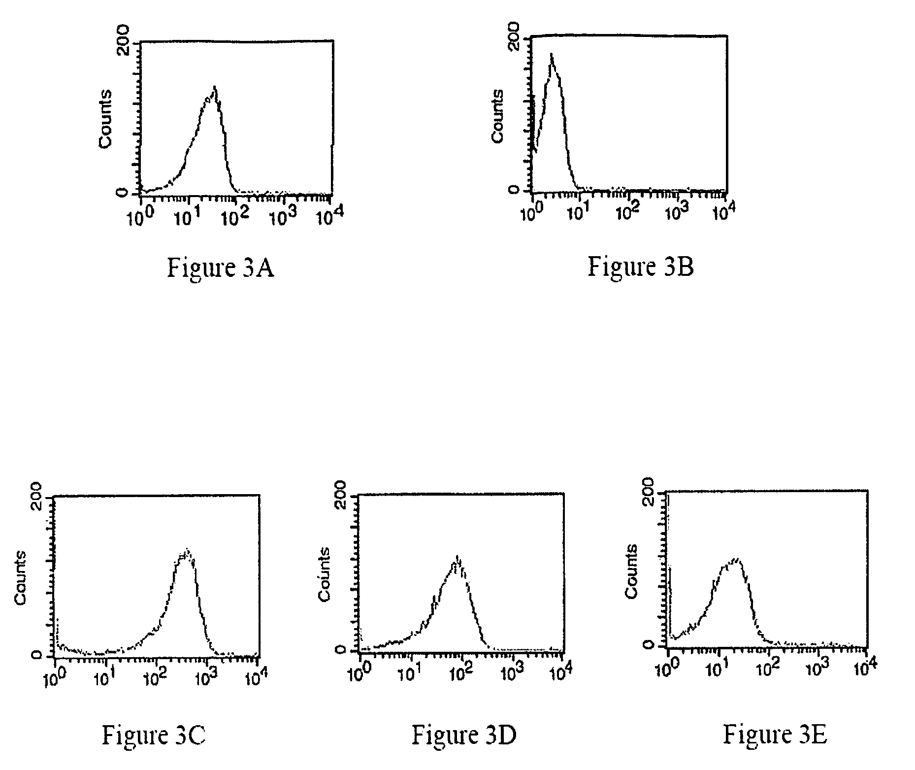 Modified annexin compositions and methods of using same