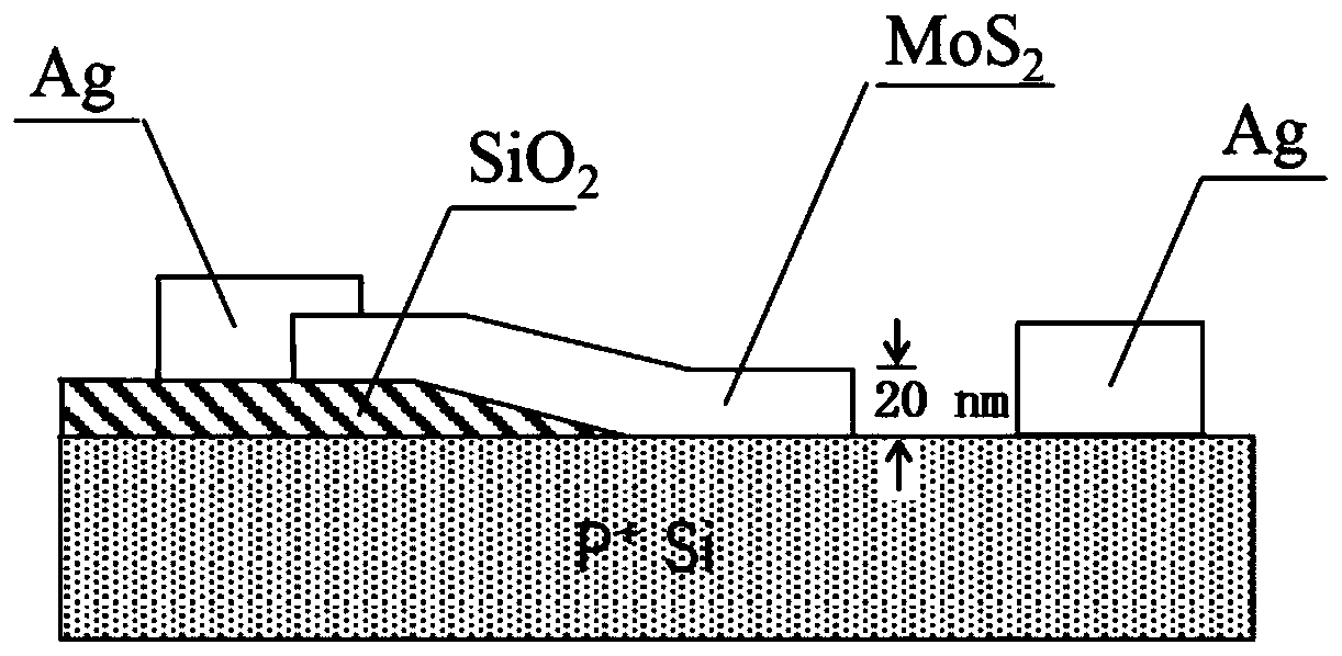 Silicon-based molybdenum disulfide heterojunction photoelectric sensor and preparation method