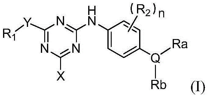 Triazine epidermal growth factor acceptor inhibitor and application thereof