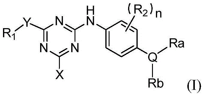 Triazine epidermal growth factor acceptor inhibitor and application thereof