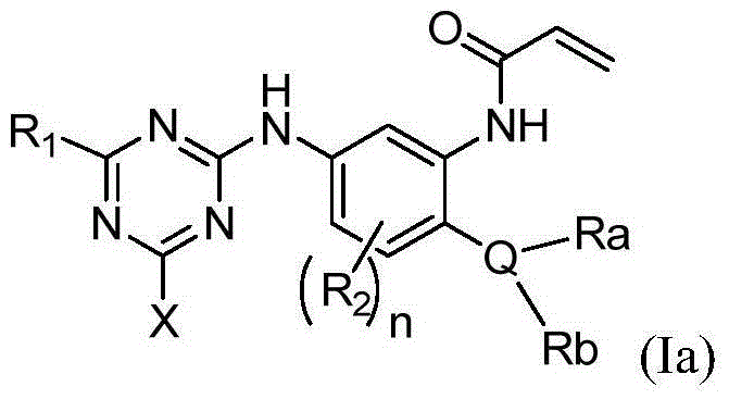 Triazine epidermal growth factor acceptor inhibitor and application thereof