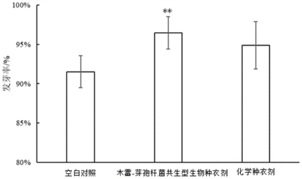 Biological seed coating agent based on trichoderma-bacillus sequential inoculation symbiotic culture fermentation liquor and preparation method thereof